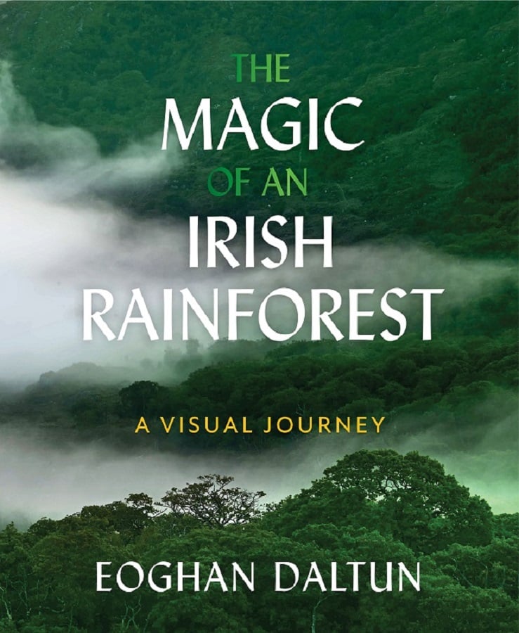 Magic Of An Irish Rainforest A Visual Journey H/B
