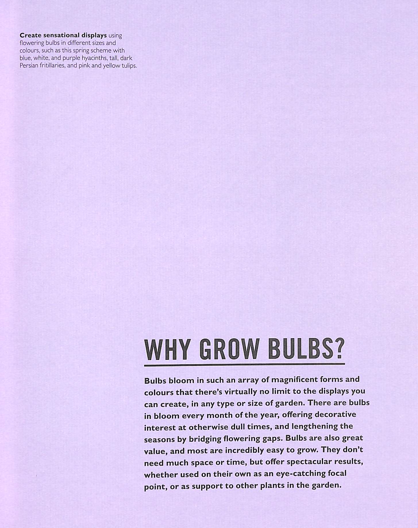 Grow Bulbs P/B by Stephanie Mahon